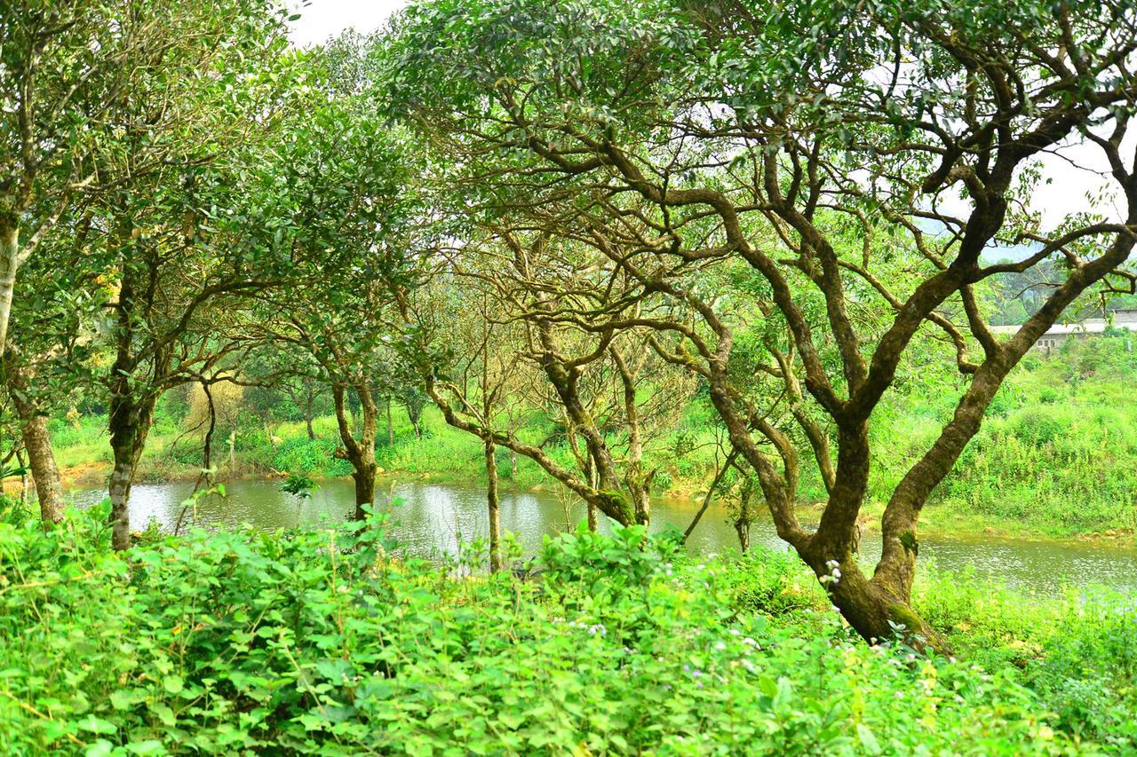D'Heavenly Mist Resorts Erattupetta Luaran gambar